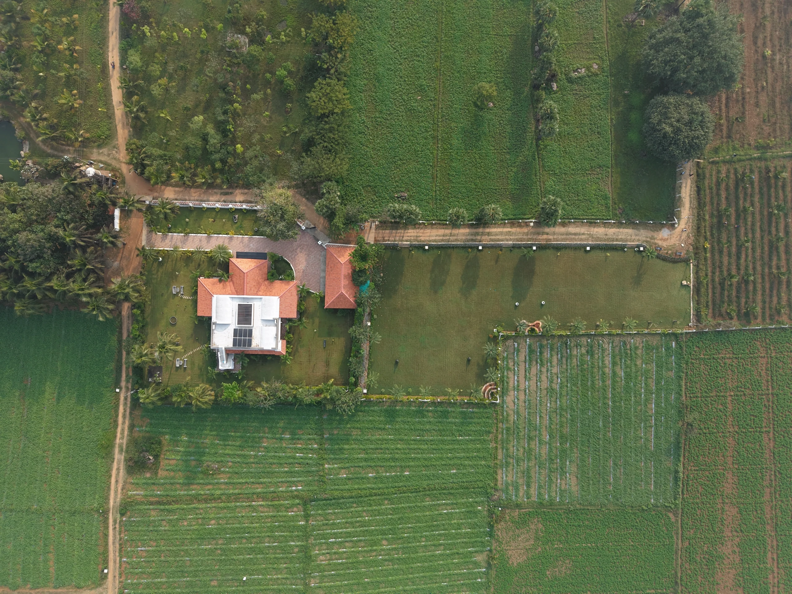 Agriculture 2